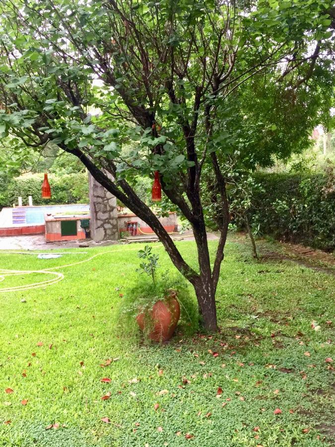 Гостевой дом Casa De Huespedes El Trebol De Ezeiza La Union Экстерьер фото